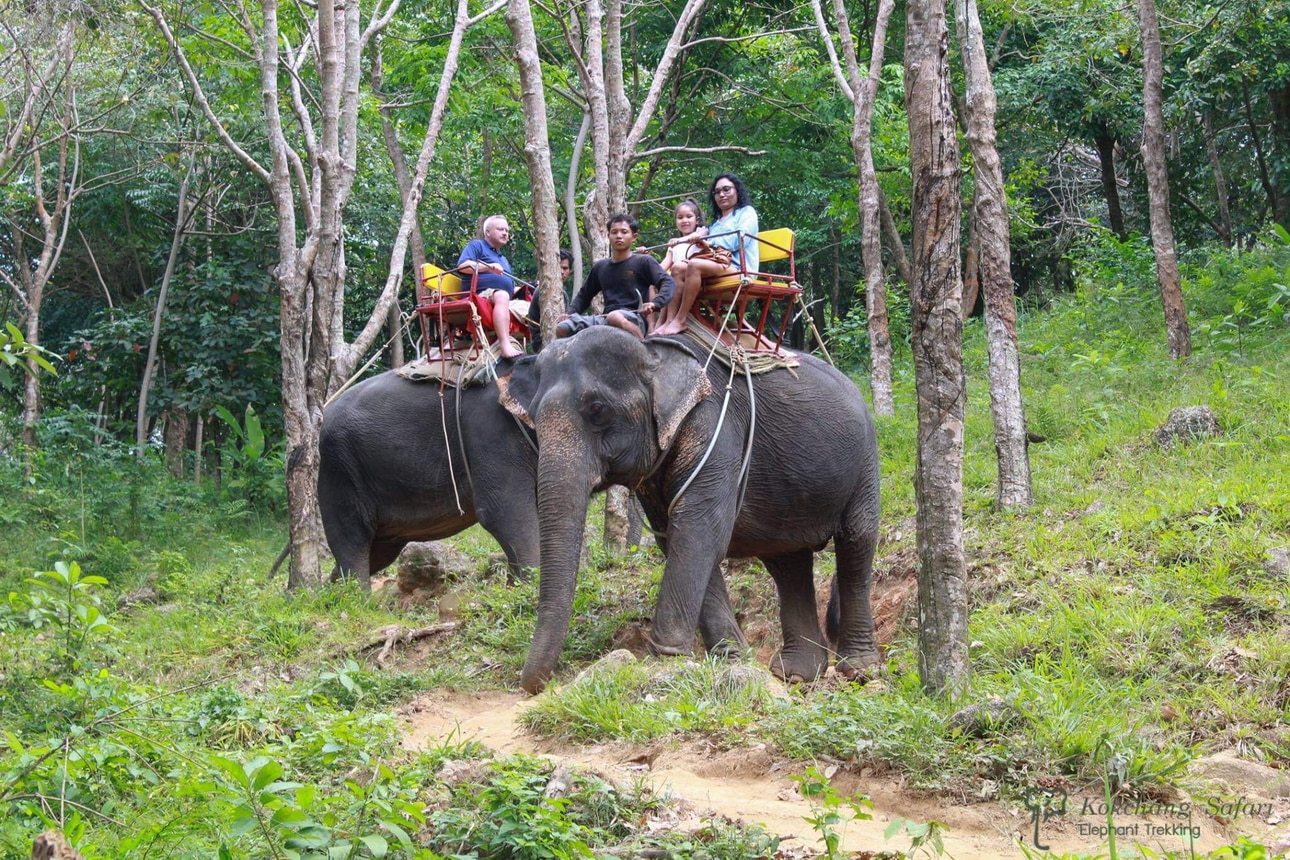 タイ 象乗りツアー