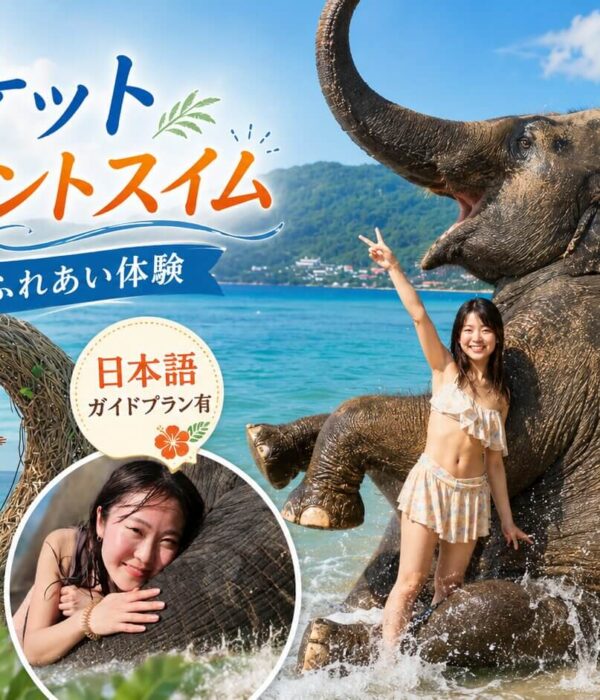 プーケット象ふれあい体験｜エレファントスイム＆ビーチフォトレポート