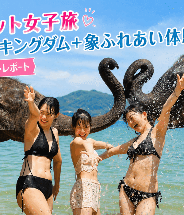 プーケットの海で象と一緒に水しぶきを浴びながら楽しむ女子旅のお客様