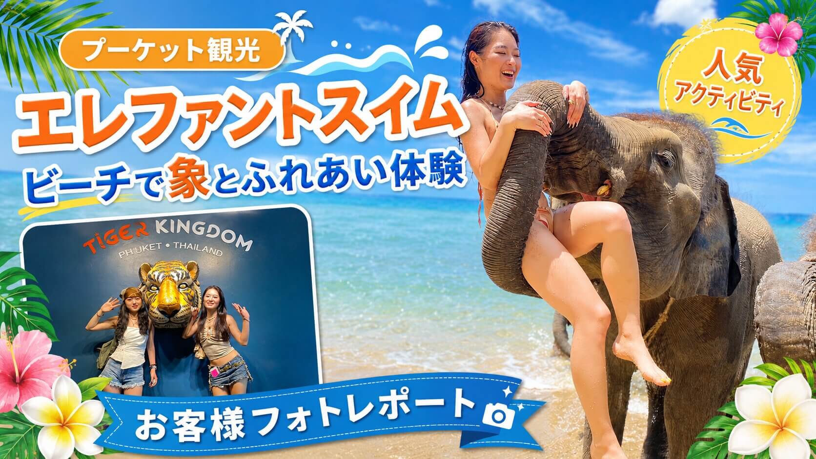 プーケットのビーチで象とふれあうエレファントスイム体験のお客様フォトレポート