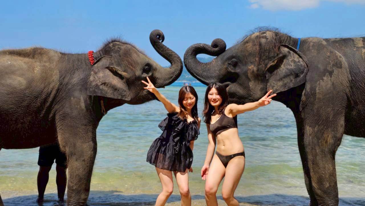 プーケットの海辺で2名のお客様が2頭の象と一緒に写真撮影を楽しむ様子
