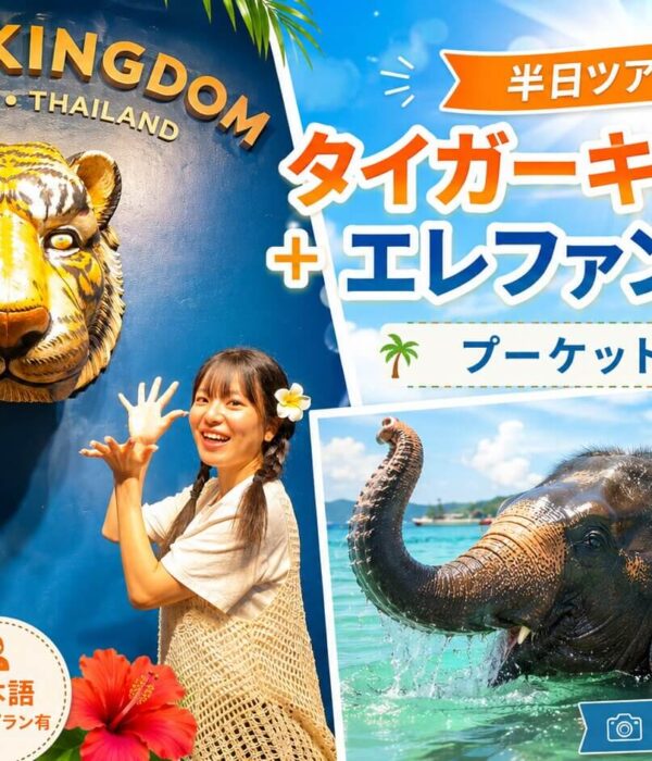 プーケットでタイガーキングダムとエレファントスイムを楽しむ半日ツアーのお客様フォトレポート