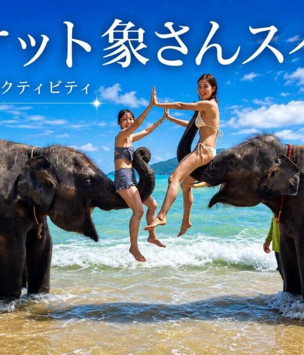 プーケットのビーチで象さんスイムを楽しむ女性2名と象2頭