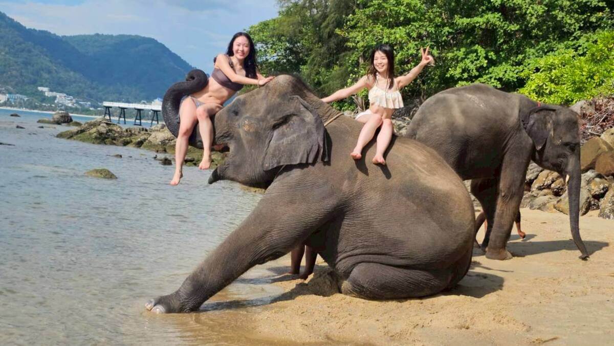 プーケットのエレファントスイムで象と写真撮影する女性2名