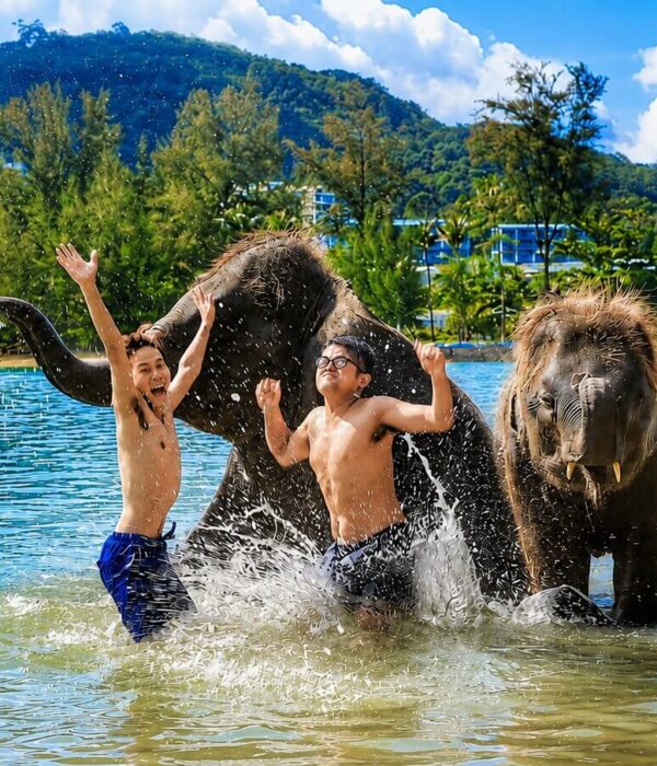 プーケットの海で象の水しぶきを楽しむエレファントスイム