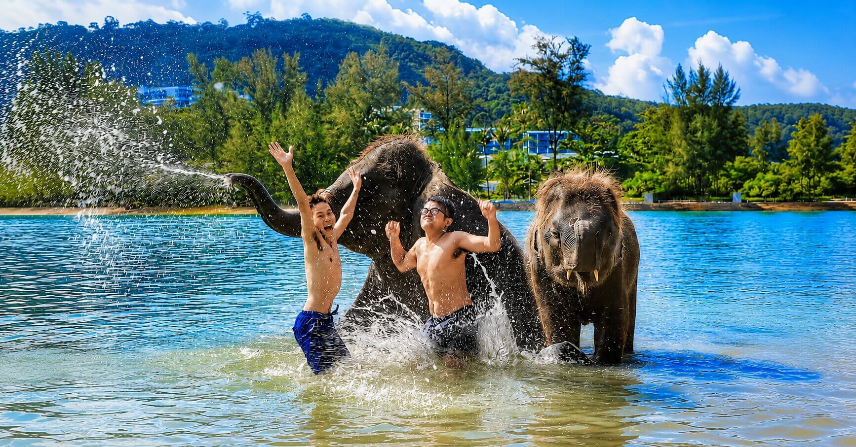 プーケットの海で象の水しぶきを楽しむエレファントスイム