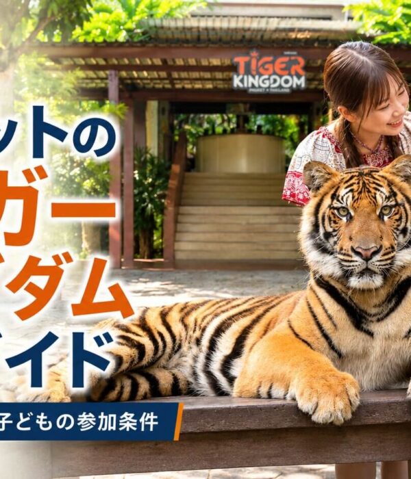 プーケットのタイガーキングダムでトラと記念撮影を楽しむ女性2名と完全ガイドの表紙