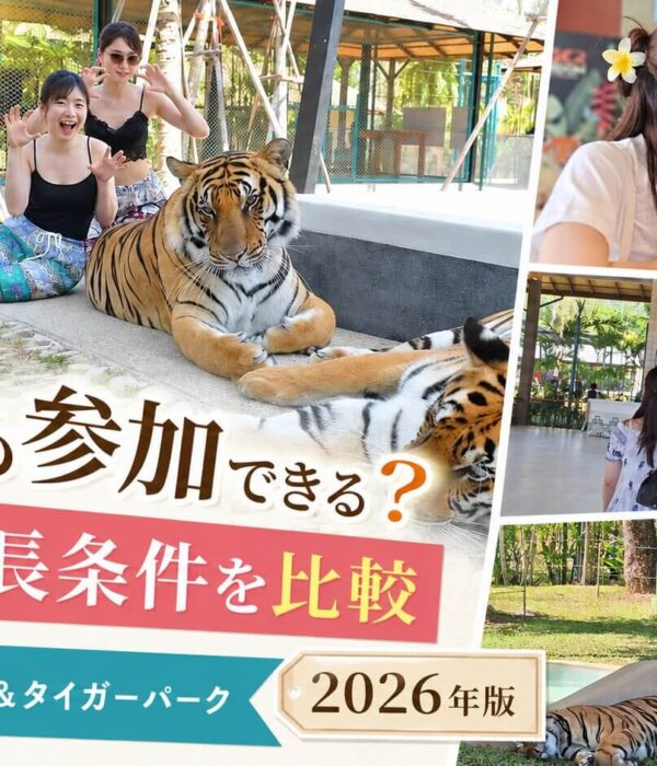 プーケットのタイガーパークで子どもの年齢・身長条件を確認する旅行者向け記事の表紙